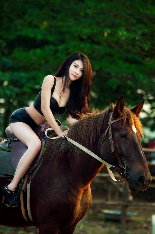 神犬小七第一季电视剧全集观看免费